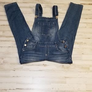 Denim Wallflower Overalls